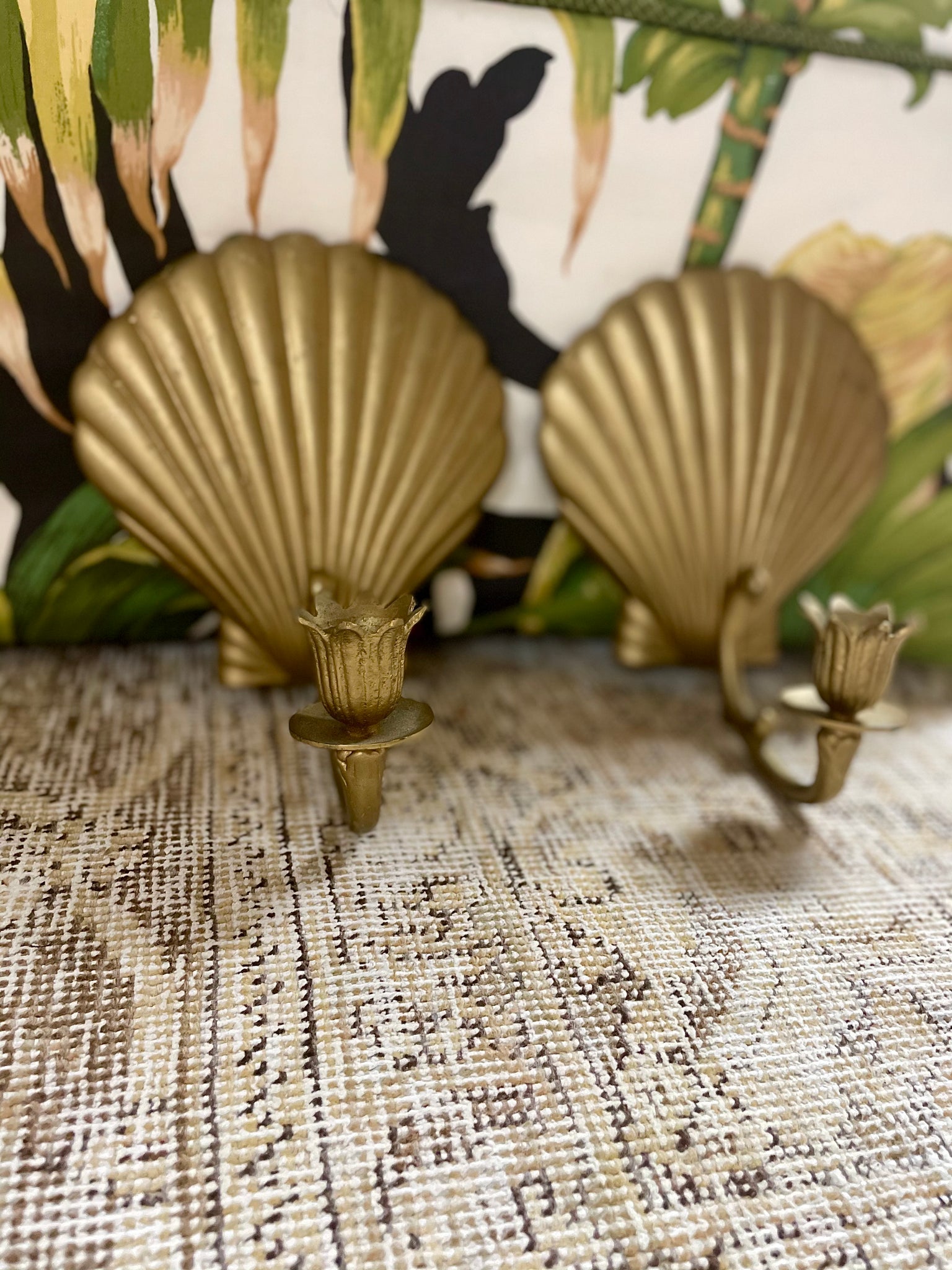 Antique Brass Seashell Sconces- Pair - Hibiscus House